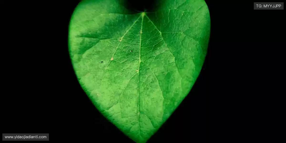 加入体育社区，一起挥洒汗水，共创辉煌！